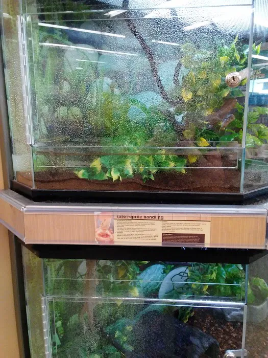 Petco Picture 5