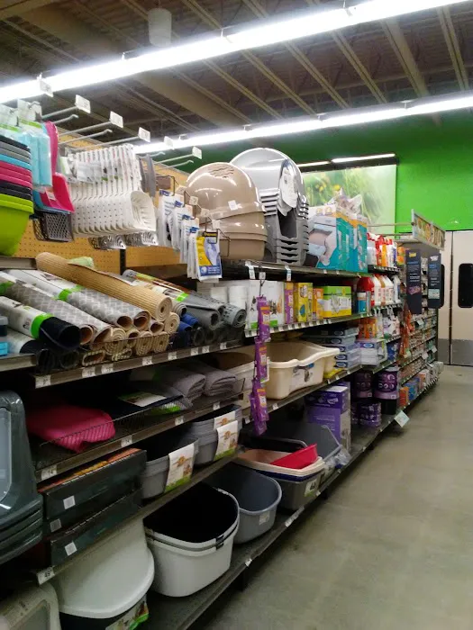 Petco Picture 4