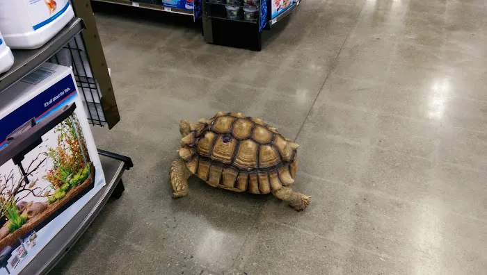 Petco Picture 8