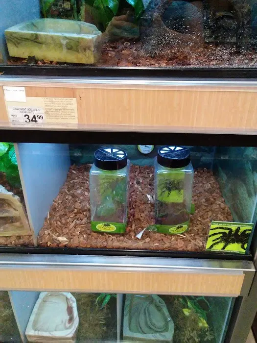 Petco Picture 9