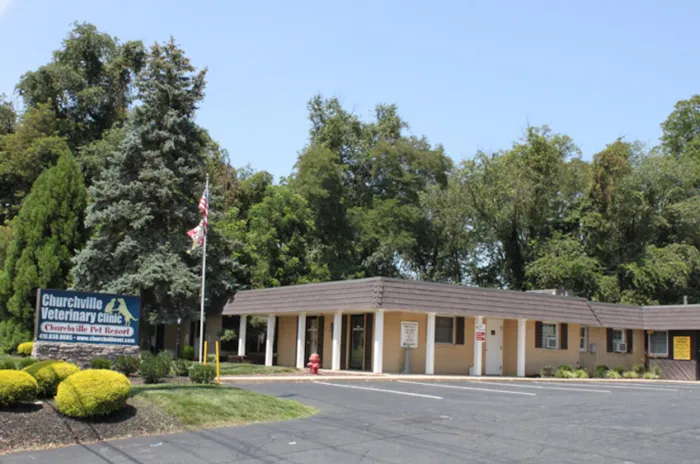 Churchville Veterinary Clinic Picture 2