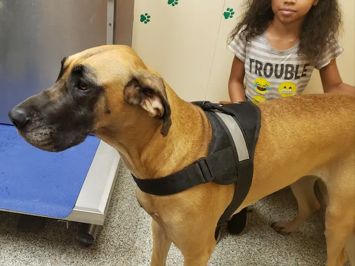 Churchville Veterinary Clinic Picture 7
