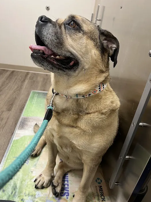 Churchville Veterinary Clinic Picture 4