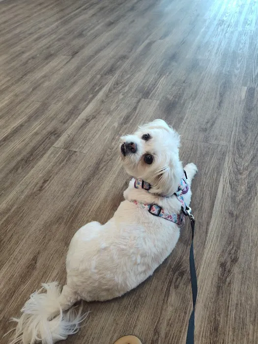 Churchville Veterinary Clinic Picture 9