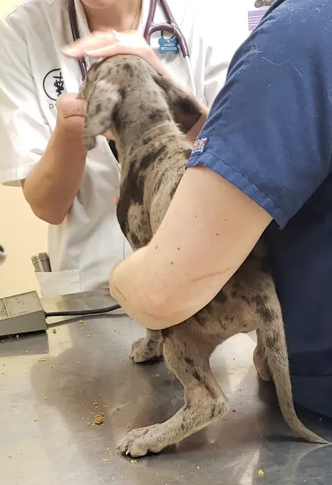 Churchville Veterinary Clinic Picture 10