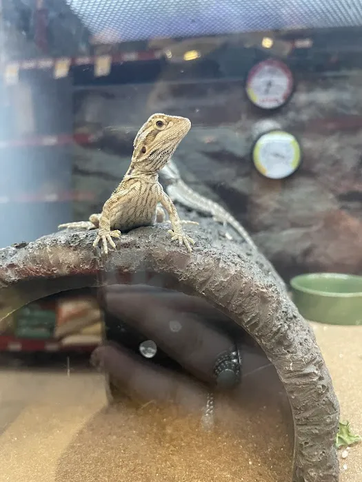 Petco Picture 4