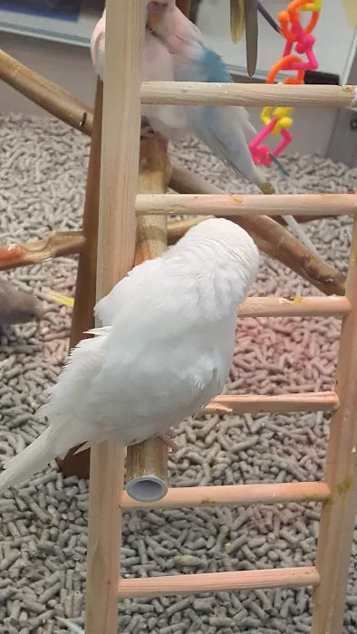 Petco Picture 2