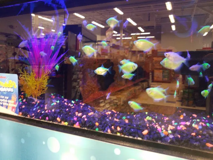 Petco Picture 3