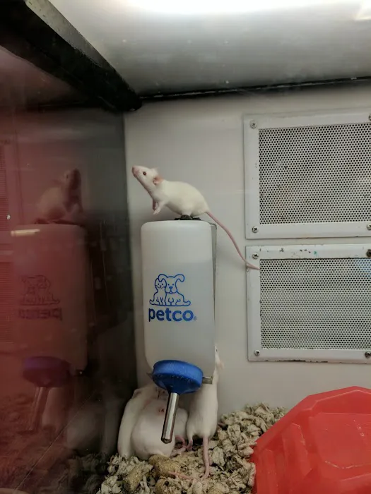 Petco Picture 8