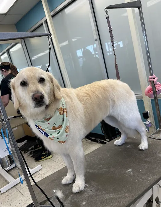 Petco Picture 7