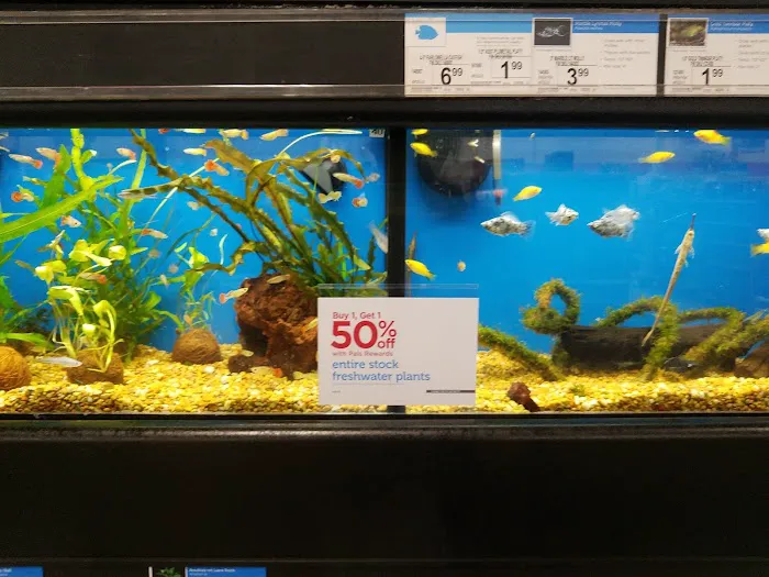 Petco Picture 9