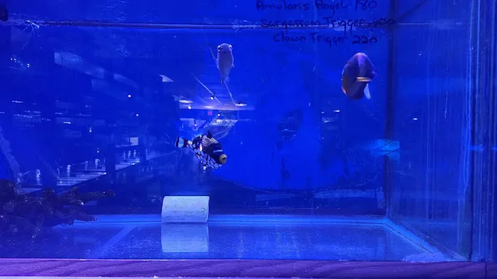 Jay's Aquatics Picture 5