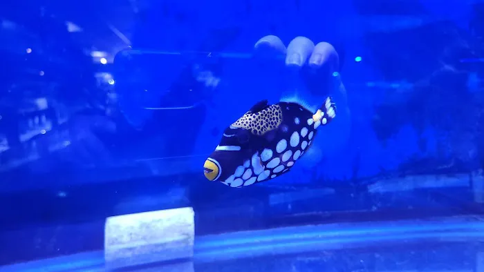 Jay's Aquatics Picture 10