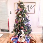 Creswell Veterinary Clinic