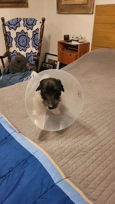 Creswell Veterinary Clinic Picture 8
