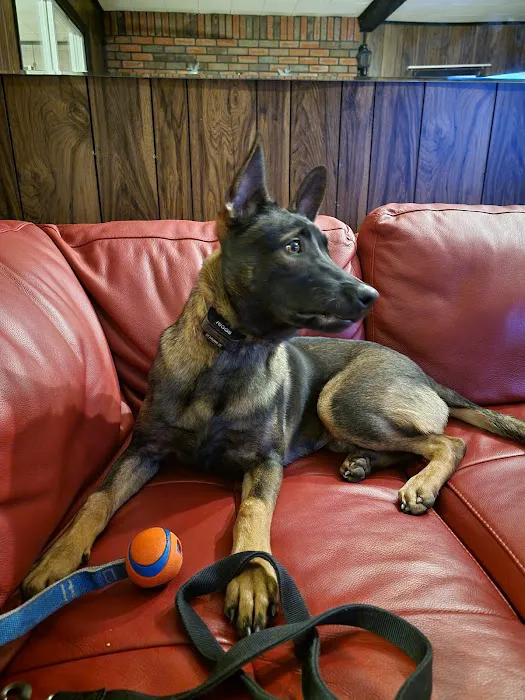 Creswell Veterinary Clinic Picture 9