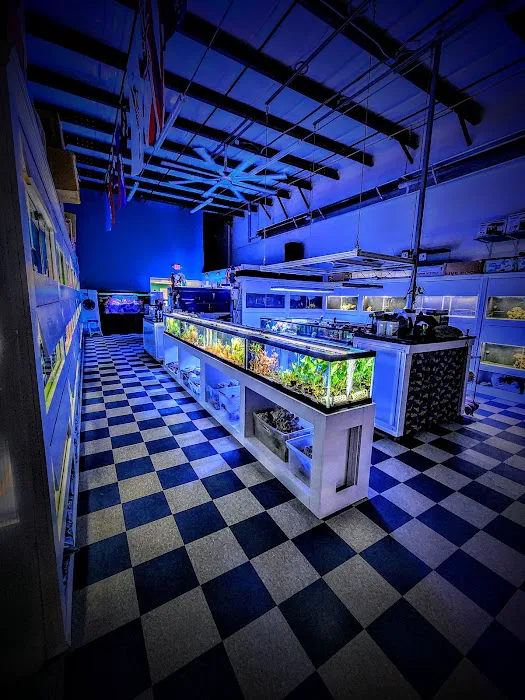 The Aquarium Gallery Picture 5