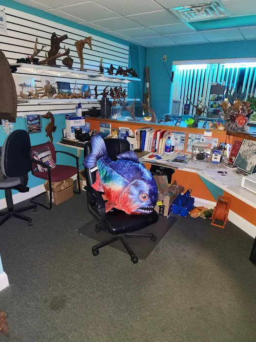 The Aquarium Gallery Picture 4