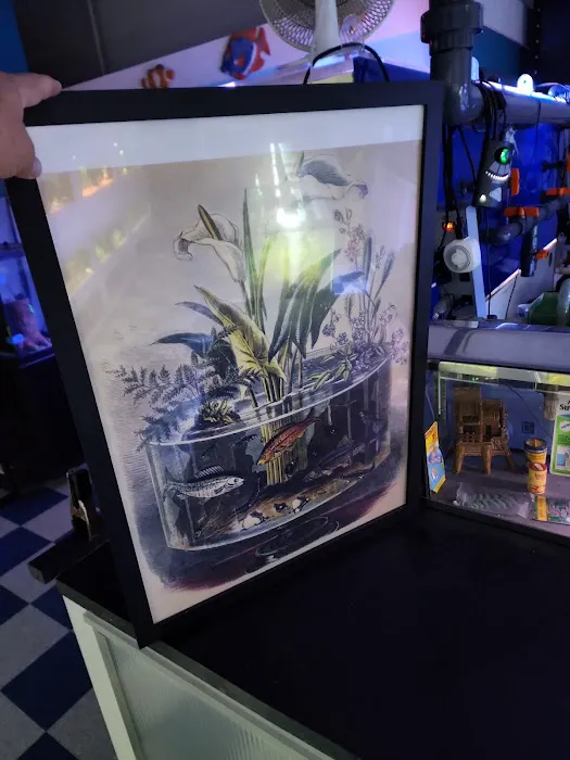 The Aquarium Gallery Picture 7