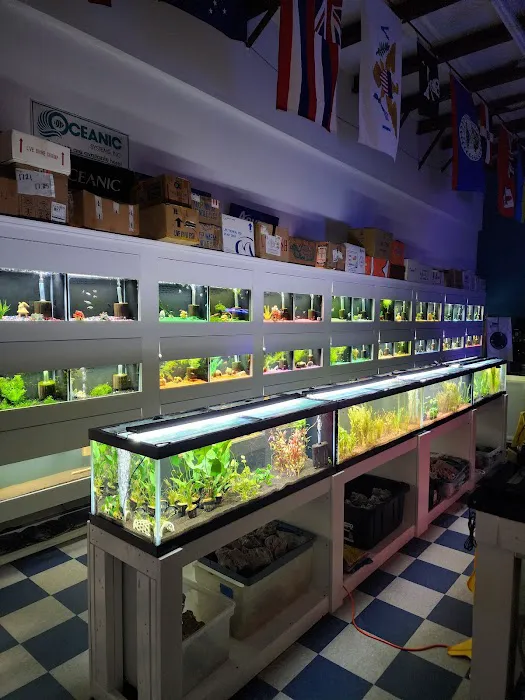 The Aquarium Gallery Picture 10