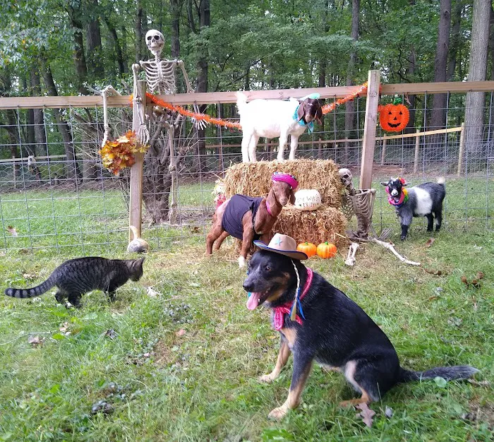 Muddy Creek Veterinary Service Picture 5