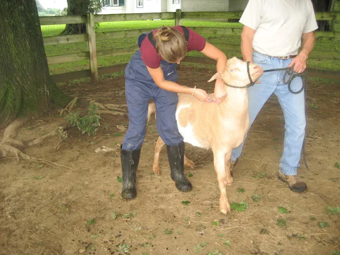 Muddy Creek Veterinary Service Picture 8