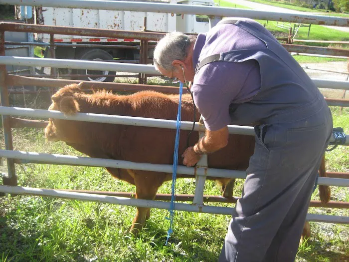 Muddy Creek Veterinary Service Picture 10