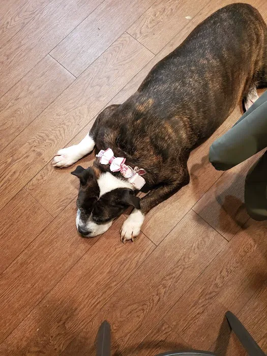 Cambria Veterinary Center Picture 2