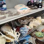 Doc's Petland Inc