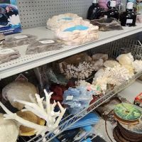 Doc's Petland Inc ico