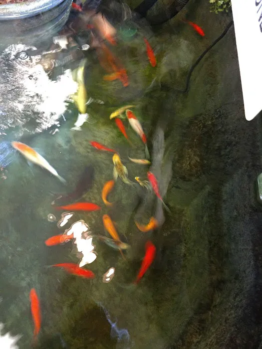 Doc's Petland Inc Picture 6