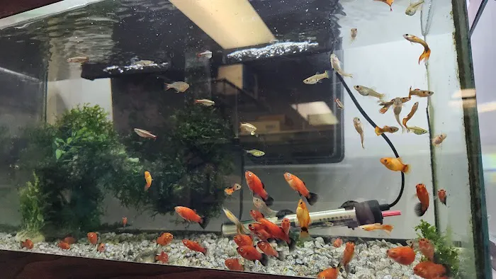 Doc's Petland Inc Picture 9