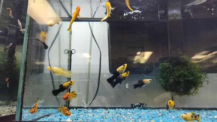Doc's Petland Inc Picture 10