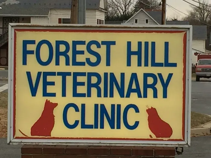 Forest Hill Veterinary Clinic Picture 2