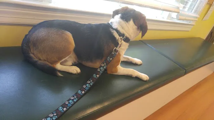 Fountain Green Veterinary Center Picture 1
