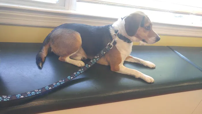 Fountain Green Veterinary Center Picture 5