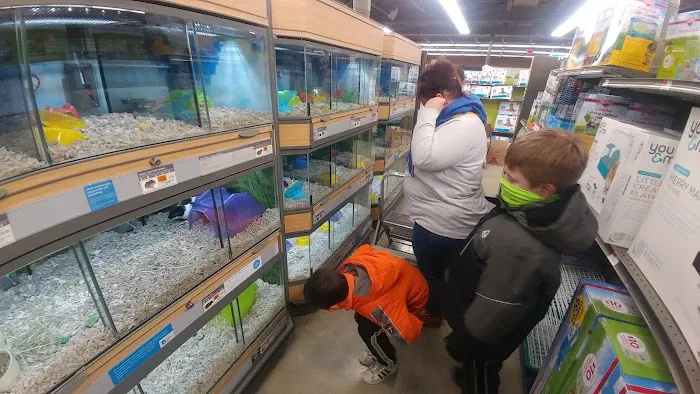 Petco Picture 2