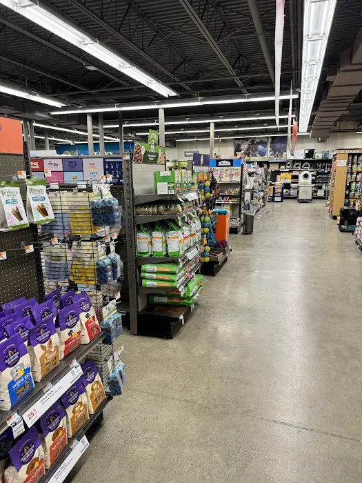 Petco Picture 7