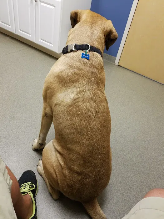 Hickory Veterinary Hospital Picture 3