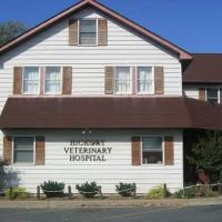 Hickory Veterinary Hospital ico