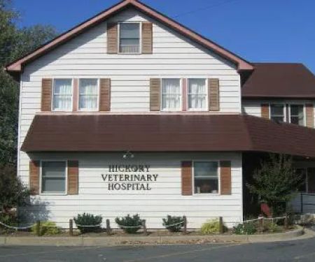 Hickory Veterinary Hospital