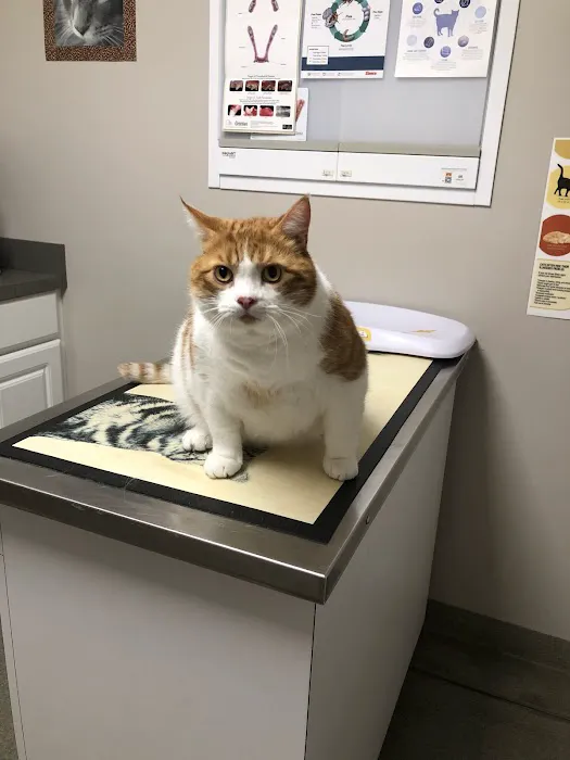 Hickory Veterinary Hospital Picture 9