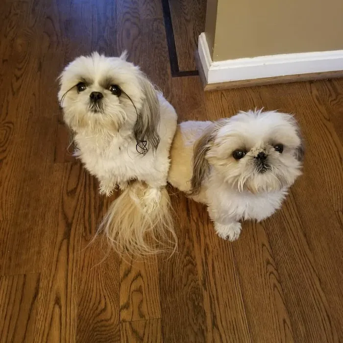 Hickory Veterinary Hospital Picture 7