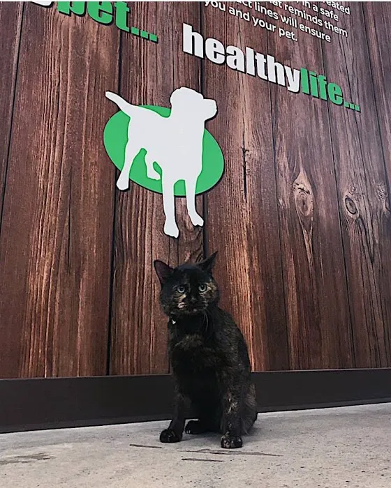 Healthy Pet Picture 4