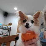 Rock Spring Veterinary Clinic