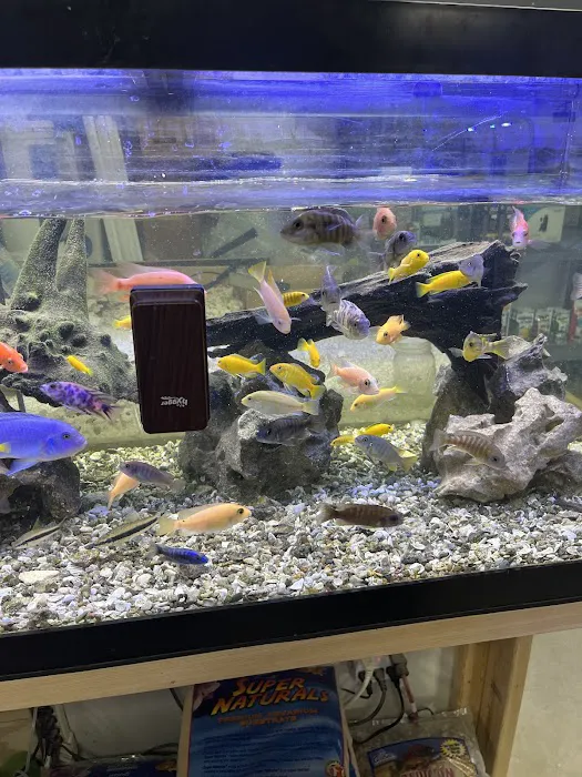 European Aquatics Inc. Picture 6