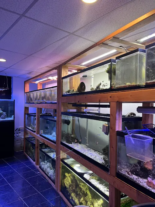 European Aquatics Inc. Picture 3