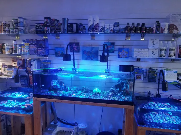 European Aquatics Inc. Picture 4
