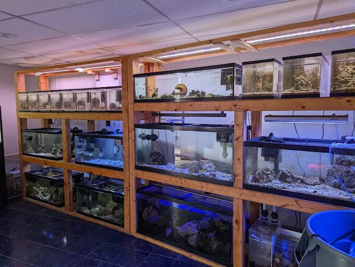 European Aquatics Inc. Picture 8