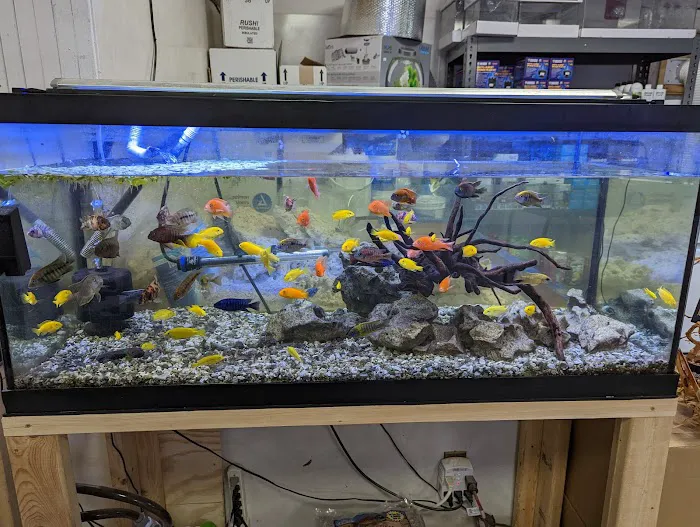 European Aquatics Inc. Picture 9